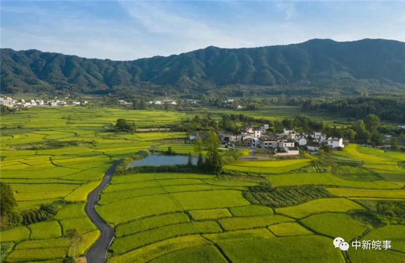 【我在黟县开民宿】交叉小径的花园：与五位文学大师跨时空相遇