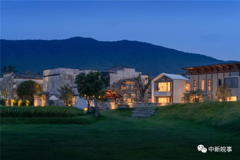 【我在黟县开民宿】交叉小径的花园：与五位文学大师跨时空相遇