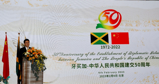 龙宇翔受邀出席庆祝中牙建交50周年招待会318.png