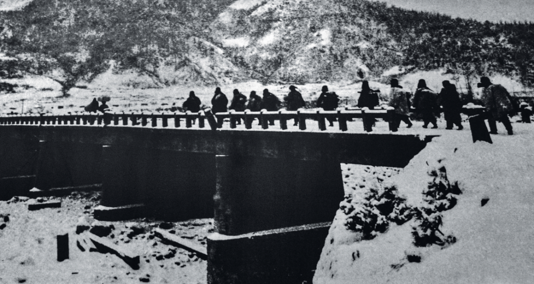 1683507291740377.png 11.png