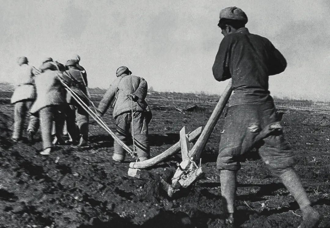 1683509192230725.jpg 3.jpg