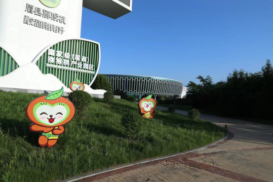 1686107221450659.png 1_1_眉县猕猴桃产业发展模式入选陕西农业绿色发展典型案例(1)318.png