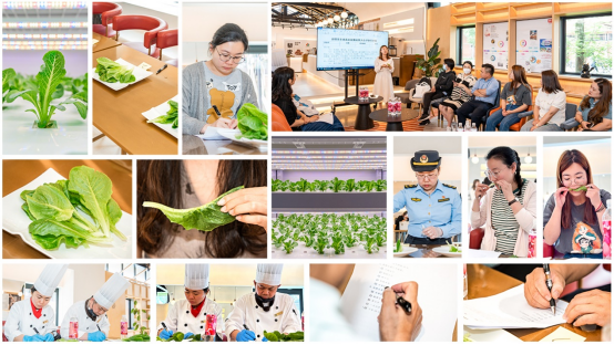 第三届“多多农研科技大赛”决赛结果揭晓 上海农科院队夺得“蔬”荣1634.png