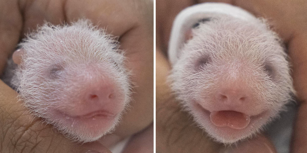 1689040522929537.png 1689040521255.png