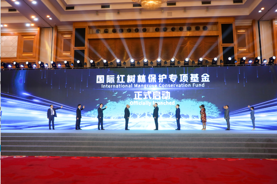 
浙江中医药第二医院黄牛代挂号电话票贩子号贩子网上预约挂号,住院检查加快,中国首次举办国际红树林保护高级别论坛