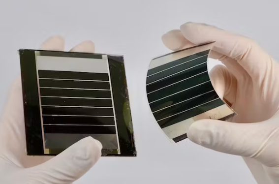 1692346341375387.png 1645577129(1).png