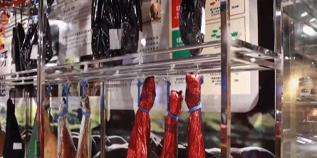 货物运量创新高！“钢铁驼队”带货能力为何强？