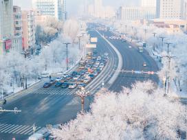 哈尔滨市区现大规模雾凇景观