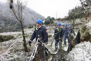 广西柳州：国网工人踏雪巡线破冰除险保供电