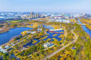 江苏泗洪升级改造生态公园 扩大城市绿化面积