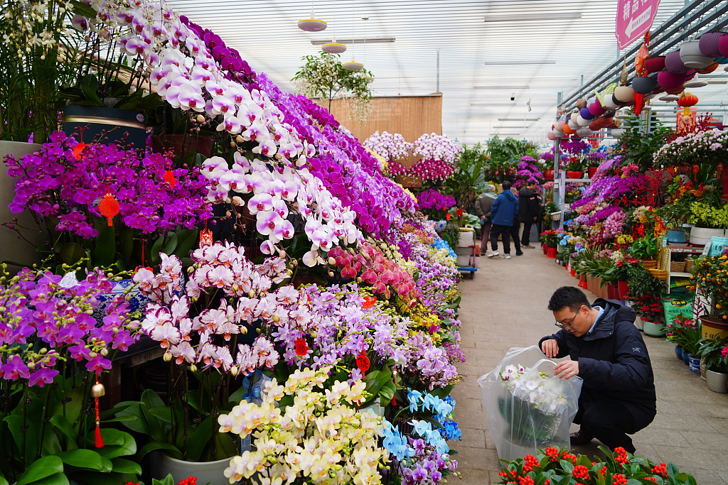 北京：年宵花进入销售旺季
