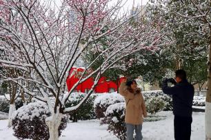 湖北宜昌：红梅迎雪绽放 市民踏雪赏梅