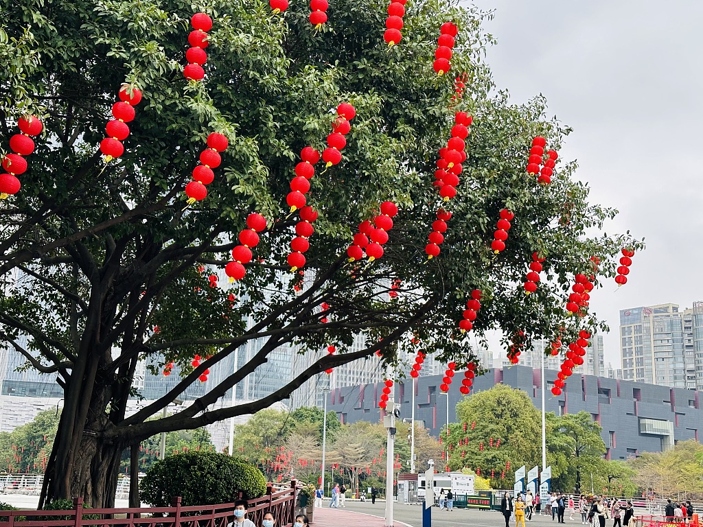 广州：花城广场张灯结彩 新春氛围浓
