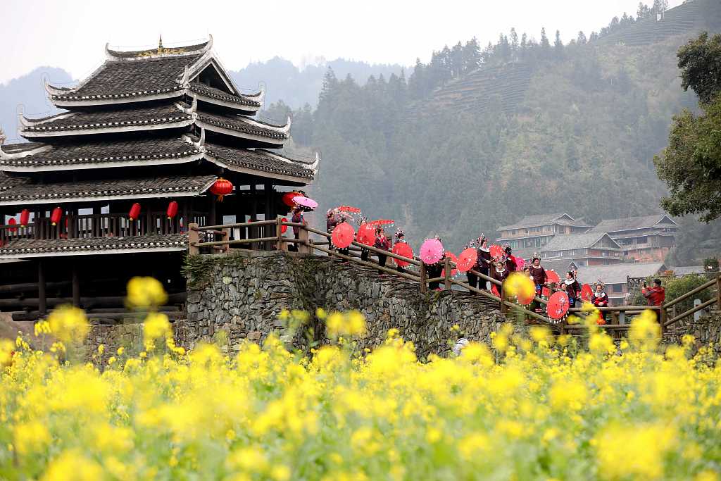 广西柳州：侗寨油菜花开引客来