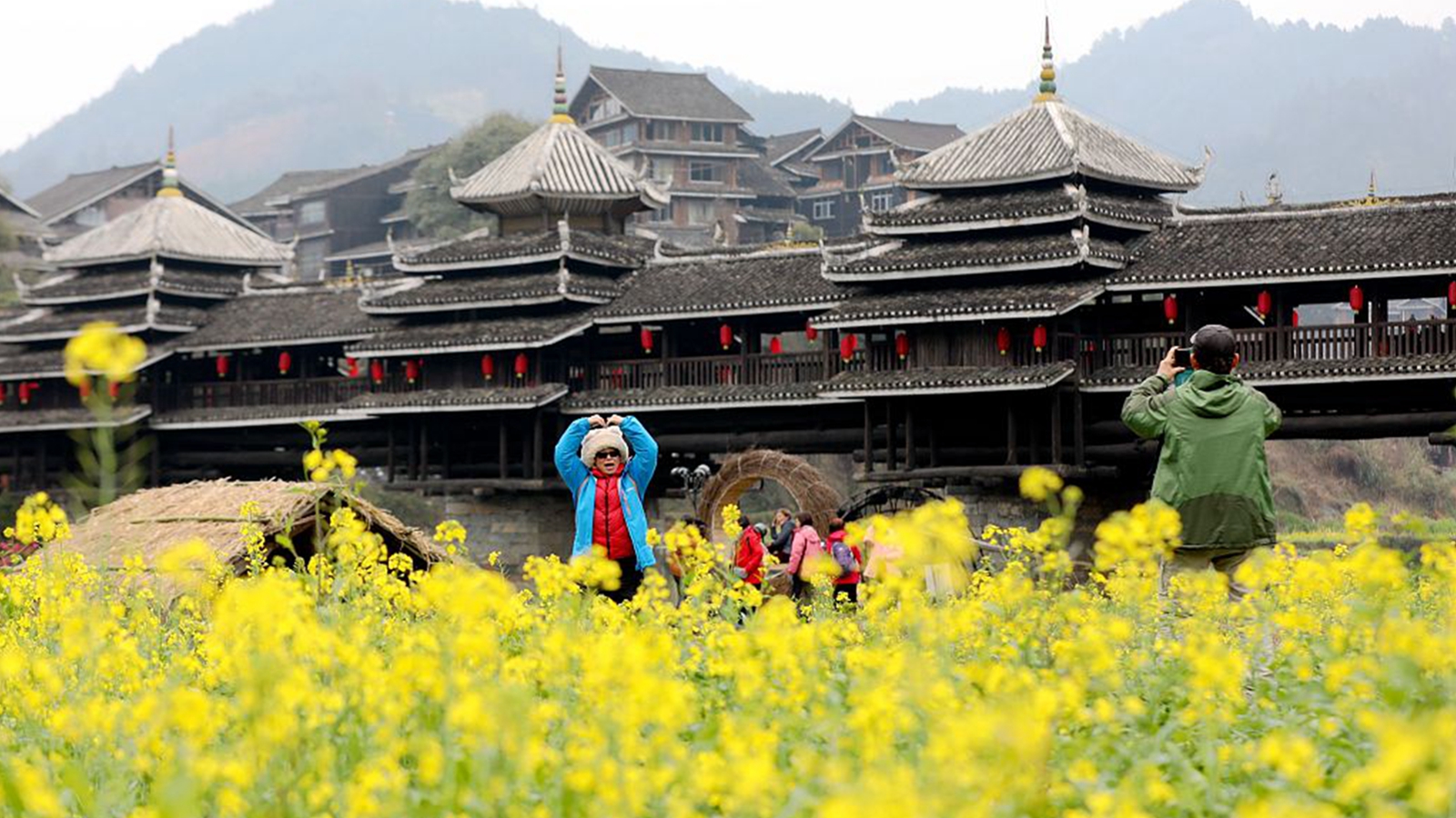 广西柳州：侗寨油菜花开引客来