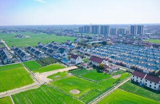 江苏南通：美丽新农村田园绿意盎然 民居整齐排列