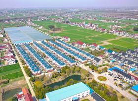 江苏南通：美丽新农村田园绿意盎然 民居整齐排列