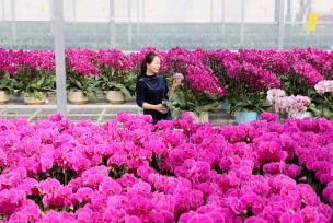 “新农人”逐梦电商 为乡村振兴增添“云”动力