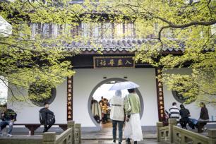 杭州：西湖春雨绵绵 游客赏花看景热情不减