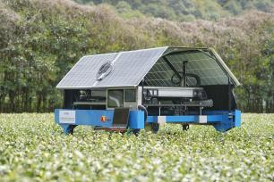 杭州：AI智能采茶机器人开采明前西湖龙井