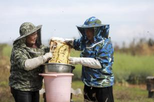 贵州毕节：甜蜜产业迎“蜂”收