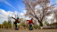 新疆哈密湿地公园杏花香 市民踏青赏花