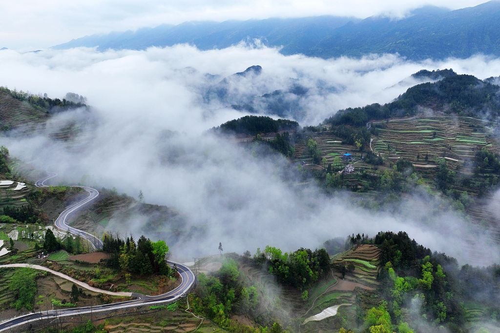 重庆：云雾缭绕万亩梯田