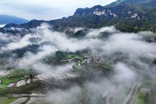 重庆：云雾缭绕万亩梯田