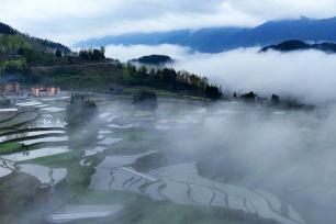 重庆：云雾缭绕万亩梯田