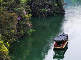 湖南张家界杜鹃盛开迎客来 游客踏青游船赏景