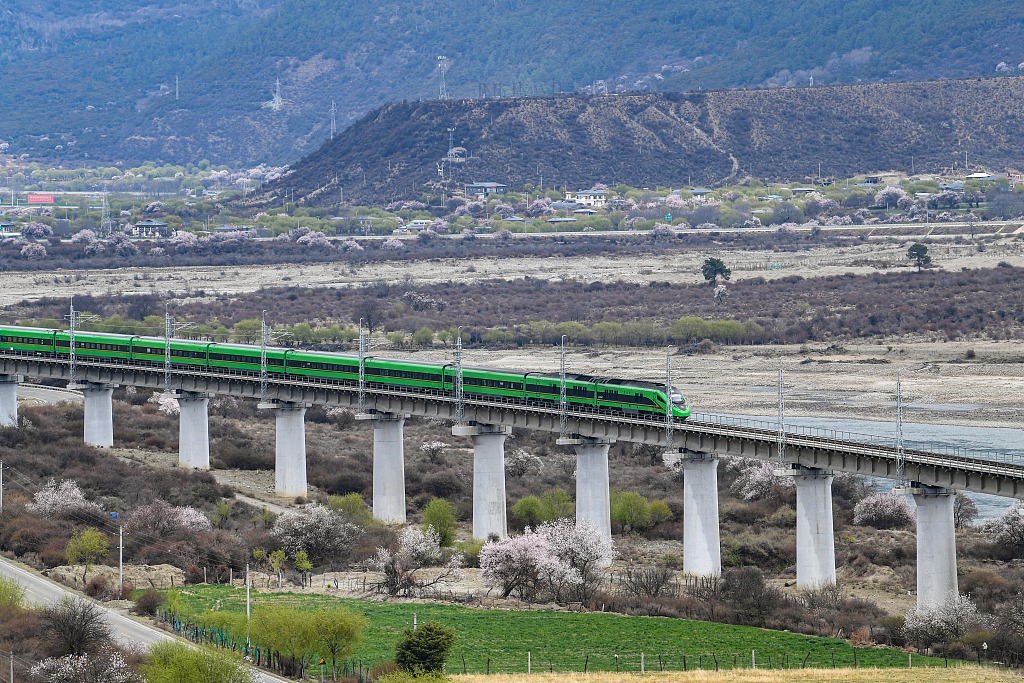 西藏林芝：铁路沿线桃花盛放