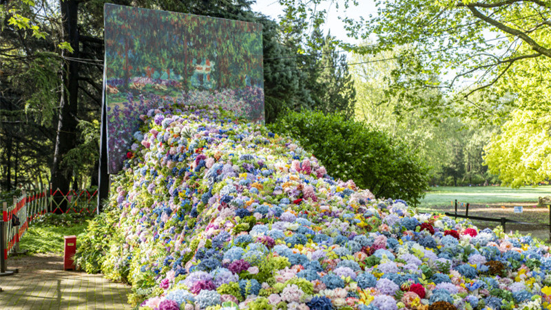  Shanghai: The 23rd Urban Forest Hundred Flowers Exhibition