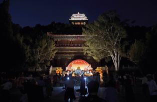 北京景山公园开启“夜赏牡丹” 红墙光影尽展“国色天香”