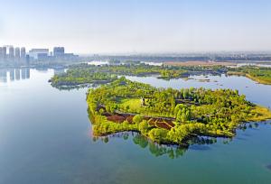 江苏连云港：双湖国家湿地公园水平如镜