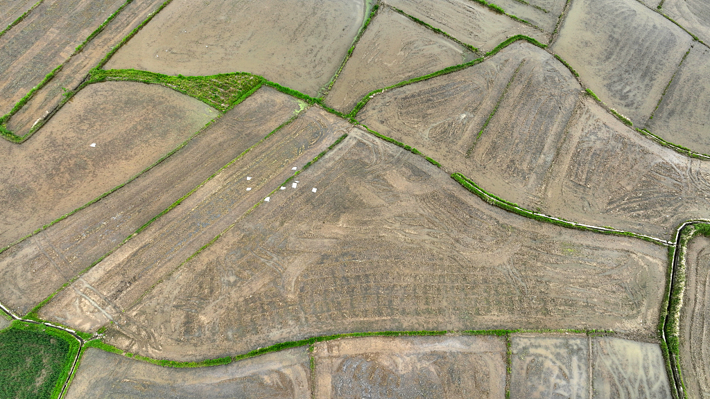 湖北十堰：现代水网打通农田灌溉最后一公里