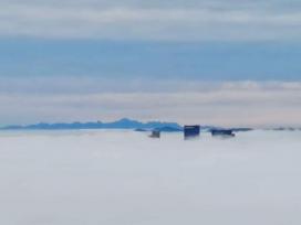 青岛现平流雾景观 云海掠过群山建筑群