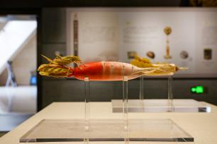 河南博物院文物“象牙萝卜白菜”重现展厅