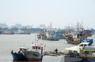 浙江台州：东海渔船返回金清渔港休渔