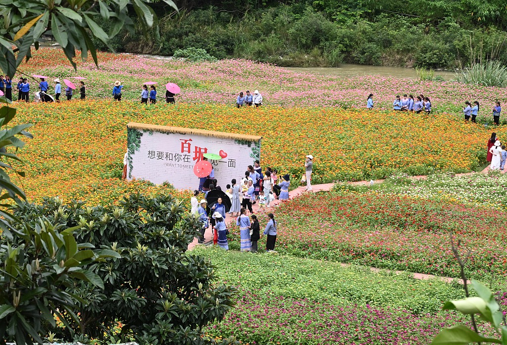 广西百色：秀美花海迎客来