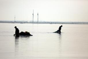 山东日照：海上“春耕” 渔民打捞蛤蜊苗