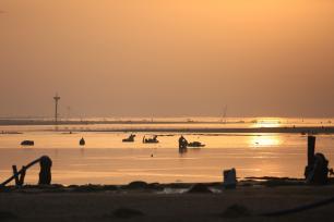 山东日照：海上“春耕” 渔民打捞蛤蜊苗