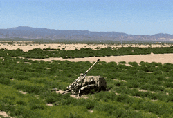 3.gif