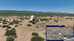 4.gif