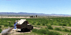 5.gif