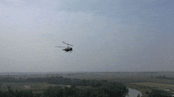 6.gif