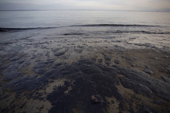 美国加州石油泄漏污染海面(组图)