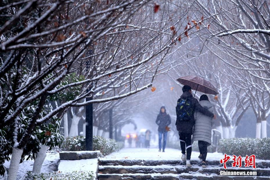 大雪纷飞迎新年图片