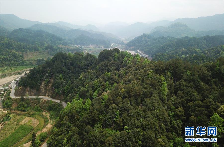 佛顶山:126名生态护林员全部从贫困户中产生