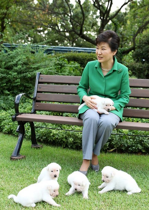 朴槿惠爱犬离开青瓦台后 每天散步生活滋润