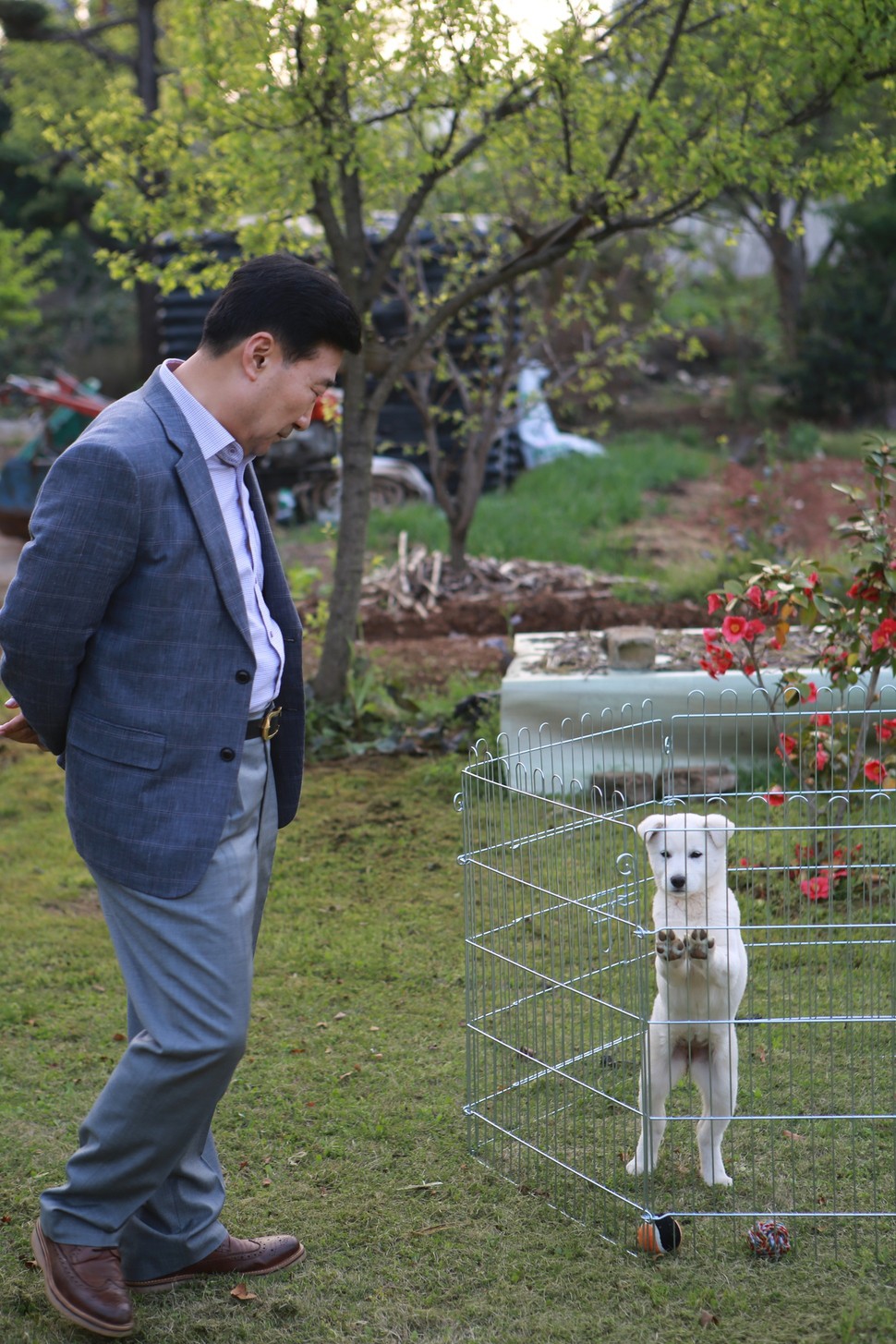 朴槿惠爱犬离开青瓦台后 每天散步生活滋润